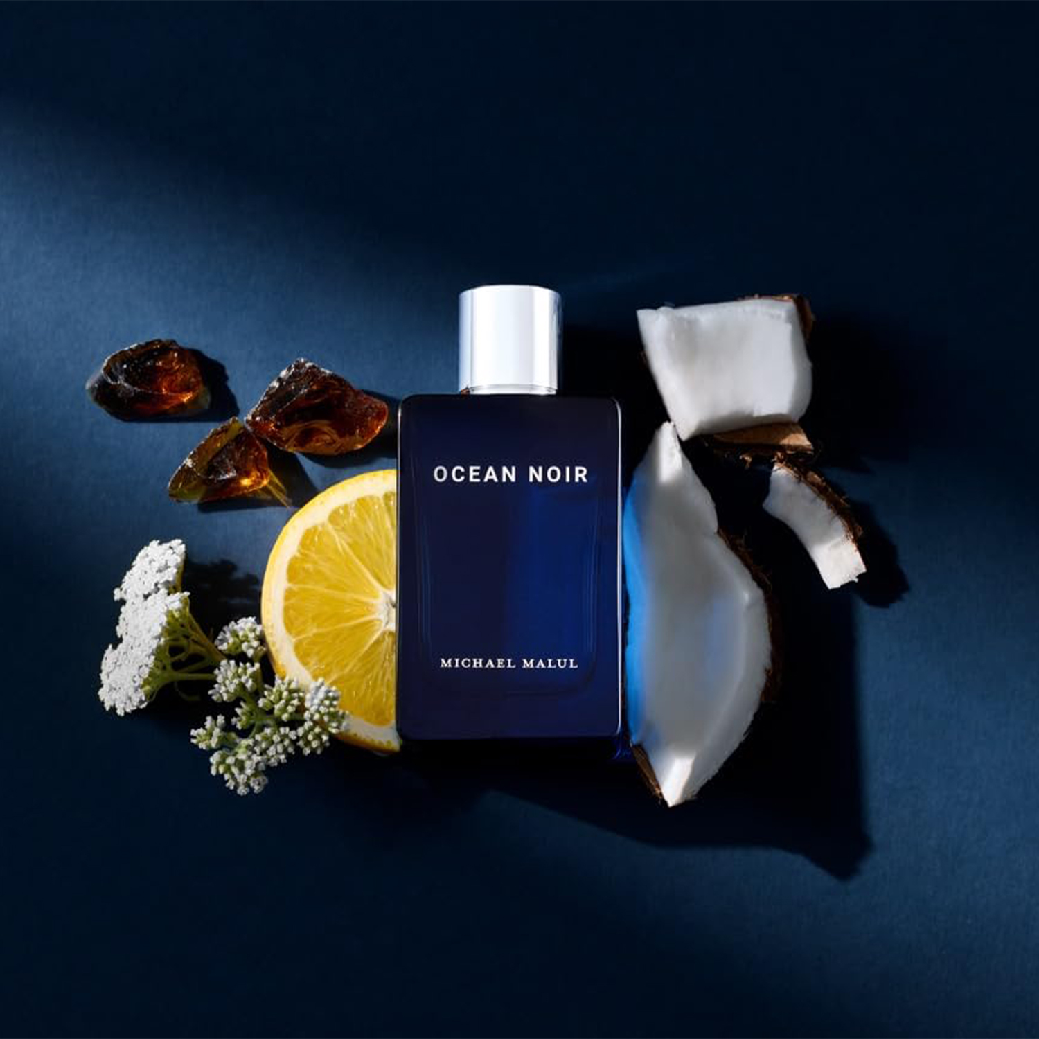 Парфюмерная вода Michael Malul – обзор и цена Perfume Fragrance Man